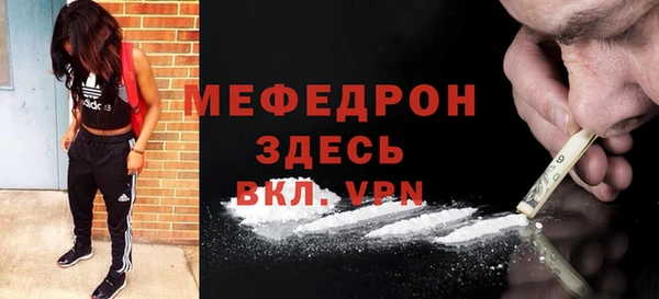 шишки Гусиноозёрск