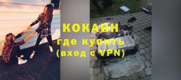 хмурый Гусь-Хрустальный