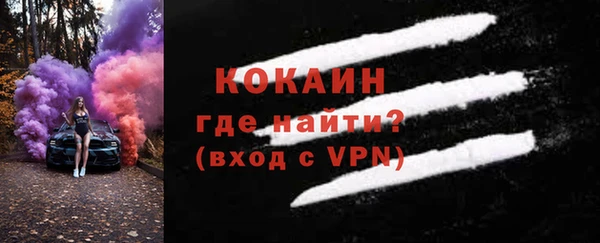 хмурый Гусь-Хрустальный