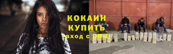 бошки Гусев