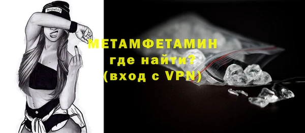 шишки Гусиноозёрск