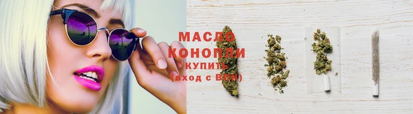 шишки Гусиноозёрск