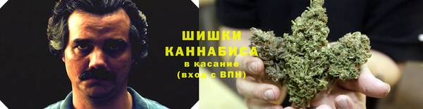 хмурый Гусь-Хрустальный