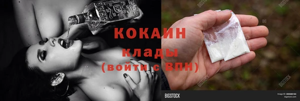 шишки Гусиноозёрск