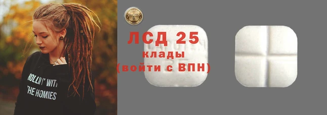 шишки Гусиноозёрск