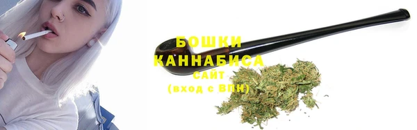 шишки Гусиноозёрск