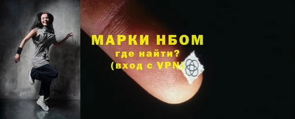 хмурый Гусь-Хрустальный