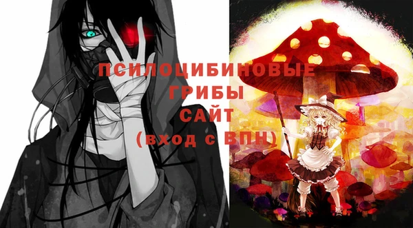 бошки Гусев