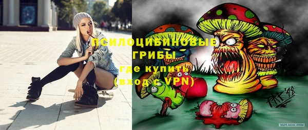 хмурый Гусь-Хрустальный