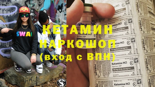 шишки Гусиноозёрск