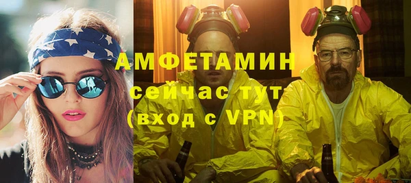 шишки Гусиноозёрск