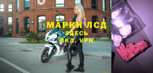 шишки Гусиноозёрск