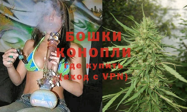 хмурый Гусь-Хрустальный