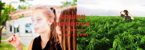 шишки Гусиноозёрск