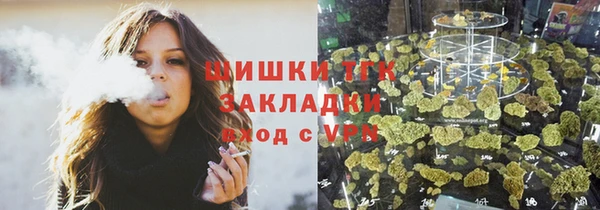хмурый Гусь-Хрустальный