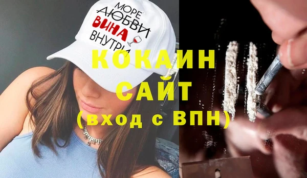 хмурый Гусь-Хрустальный