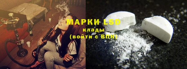 хмурый Гусь-Хрустальный