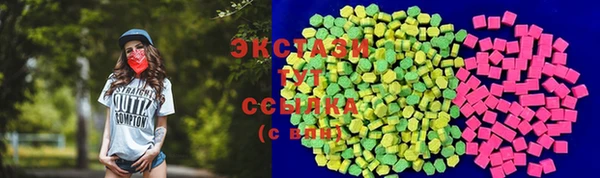 шишки Гусиноозёрск