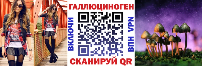Купить  Няндома  Псилоцибиновые грибы мицелий 