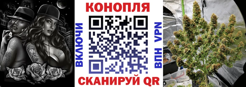 Бошки марихуана план  Купить закладки  Няндома 